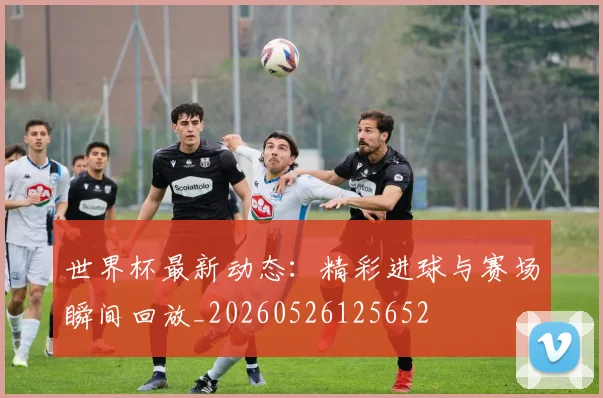 世界杯最新动态：精彩进球与赛场瞬间回放_20260526125652